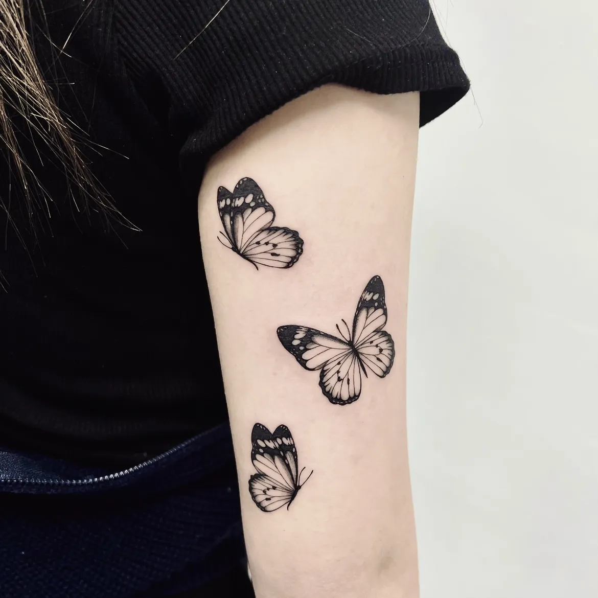 나비 세마리 🦋