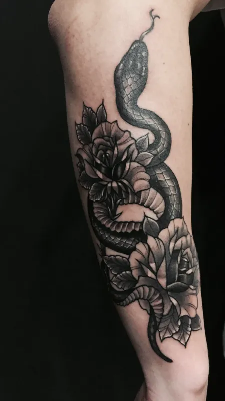 ๋ฑ ๋ธ๋์ํฌ