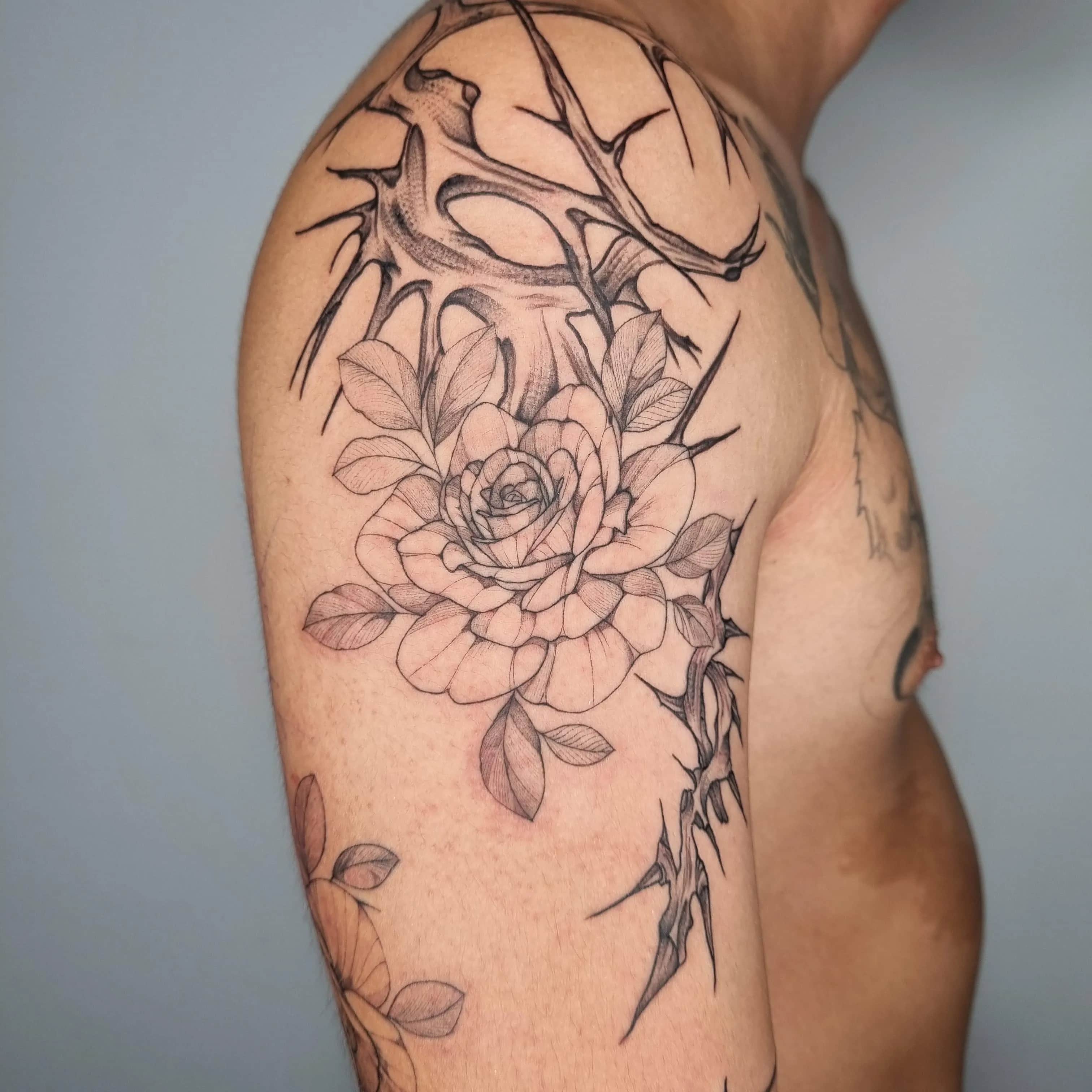 ๊ฐ์ํํฌ, ์ฅ๋ฏธํํฌ, ๋จ์ํํฌ, ์ฌ์ํํฌ, ๊ฝํํฌ, ๋ธ๋์ํฌ, ํ๋ํํฌ, ์์ธํํฌ, ํํํฌ