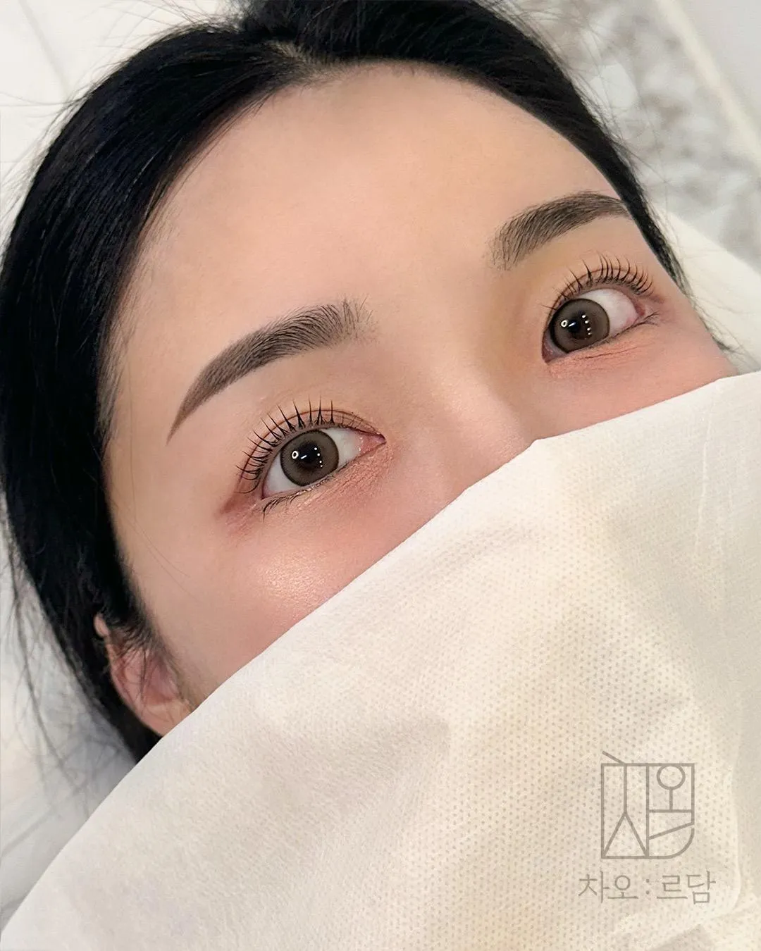 차오르담 여자눈썹