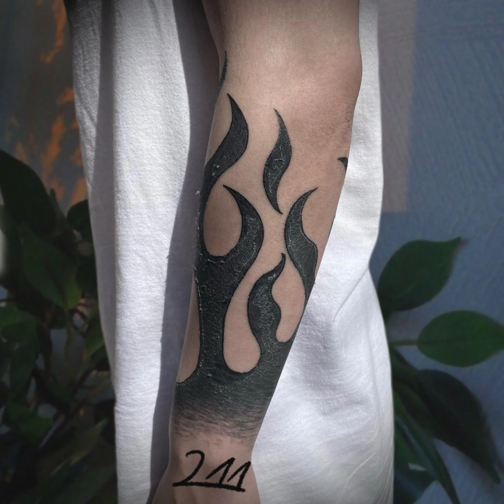 ๋ถ๊ฝ ํธ๋ผ์ด๋ฒ ํํฌ - 1