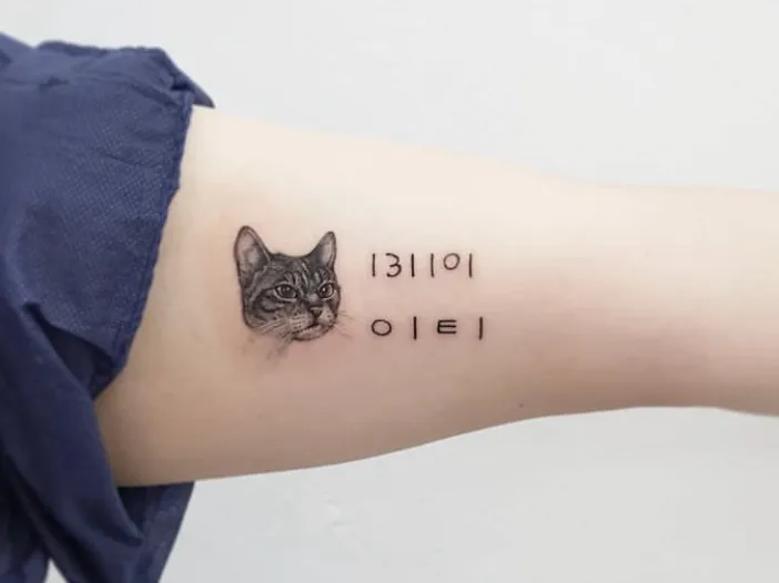 고양이 반려묘 타투