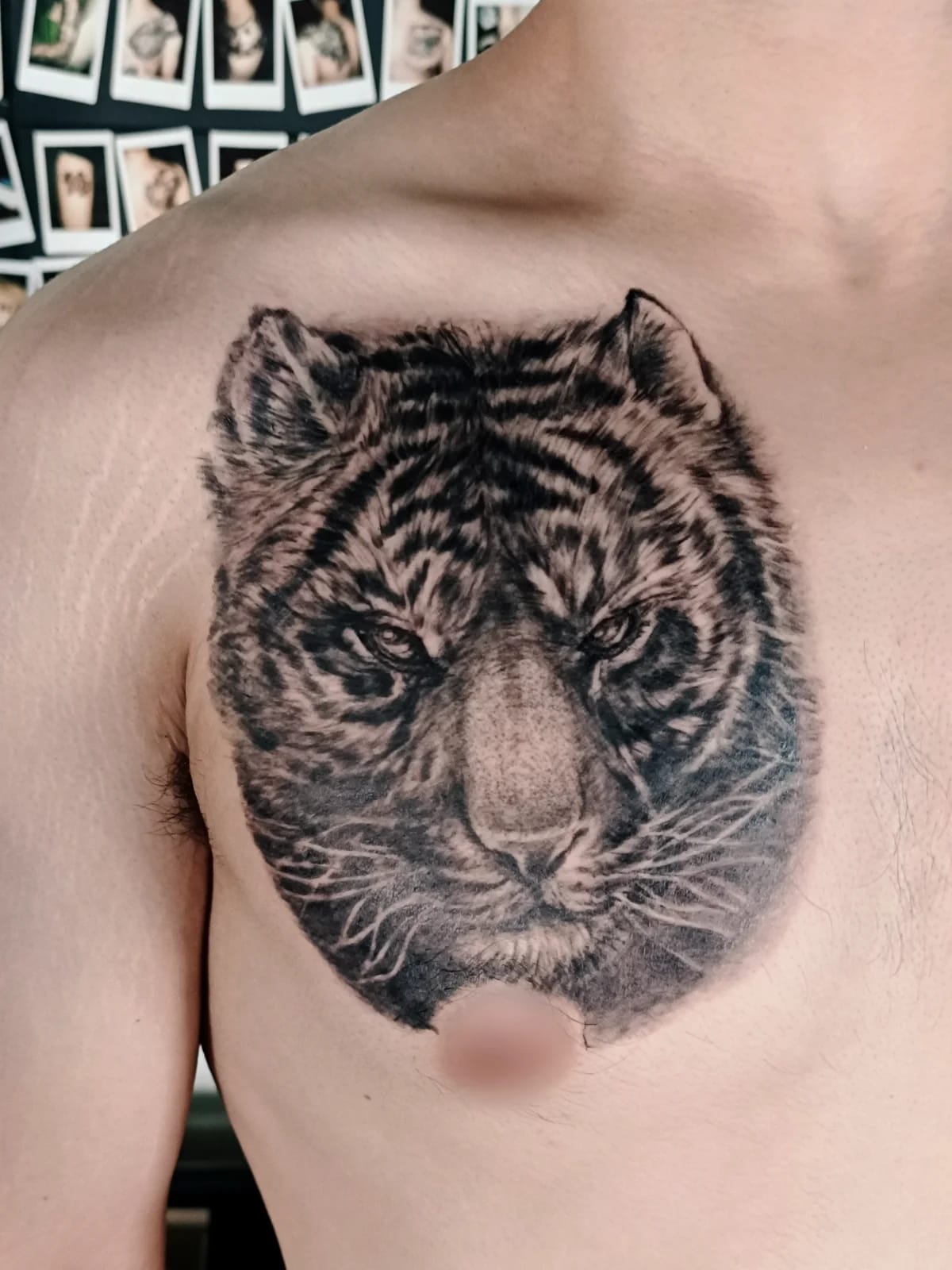 가슴에 새긴 강인한 호랑이