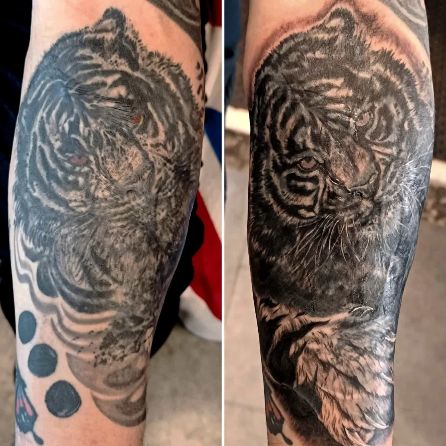 하박 🐯 호랑이 커버업