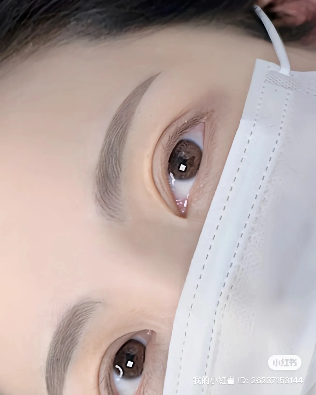 오브민 콤보눈썹