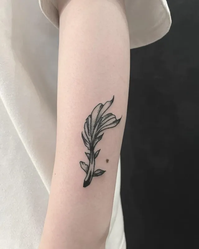 물고기