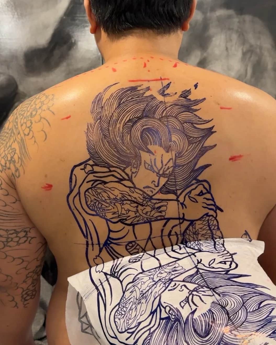 이레즈미 등, 긴팔, 포트폴리오 모집