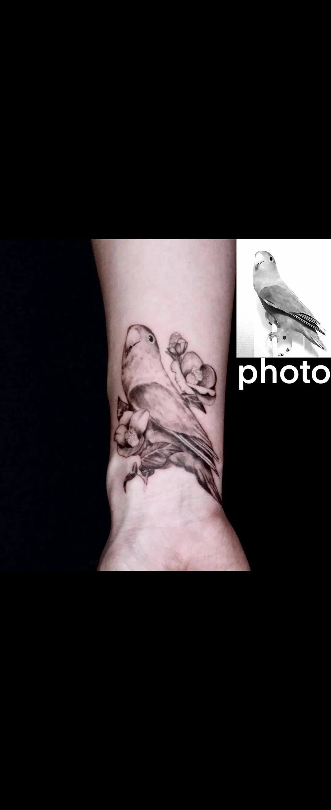 ๋ฐ๋ ค๋๋ฌผ