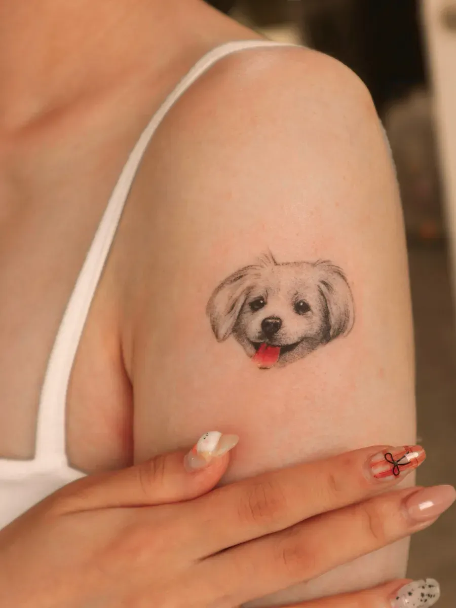 귀여운 반려견 강아지 타투🤍 반려동물 반려묘 고양이, 감성, 가족, 예쁜, 미니, 추천, 나비, 꽃🤍 - 1