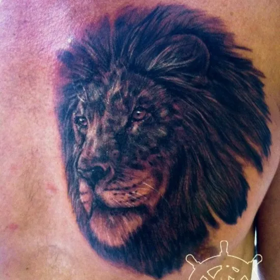 성남타투 /모든장르가능/ 사자 타투 가슴 동물