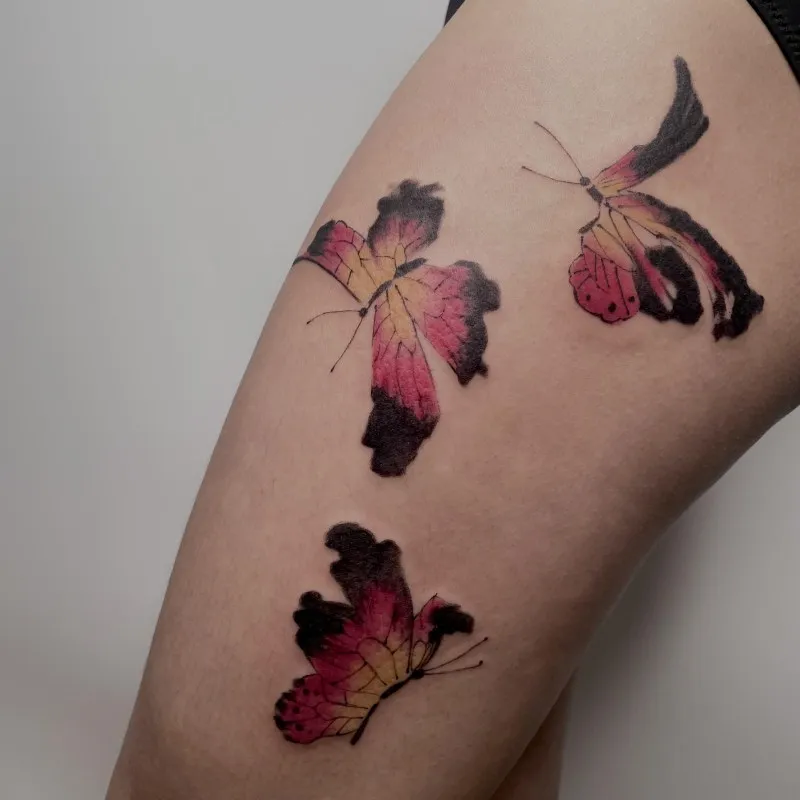 ์๋ฌตํ ์ปฌ๋ฌ๋๋น