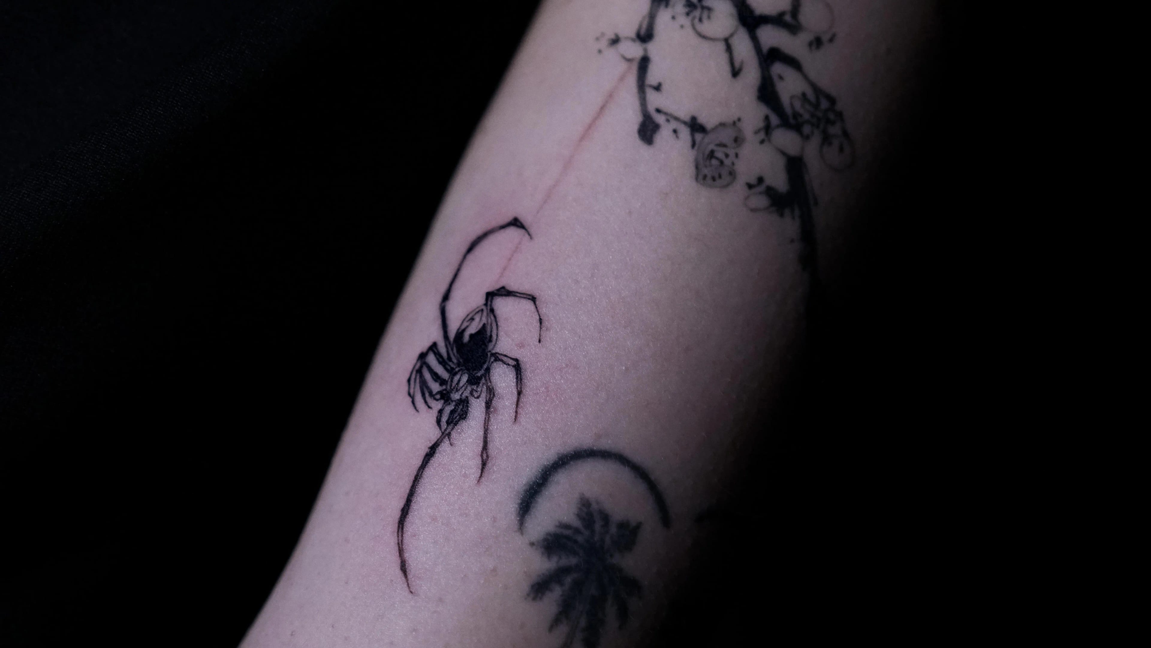 거미와 매화나무