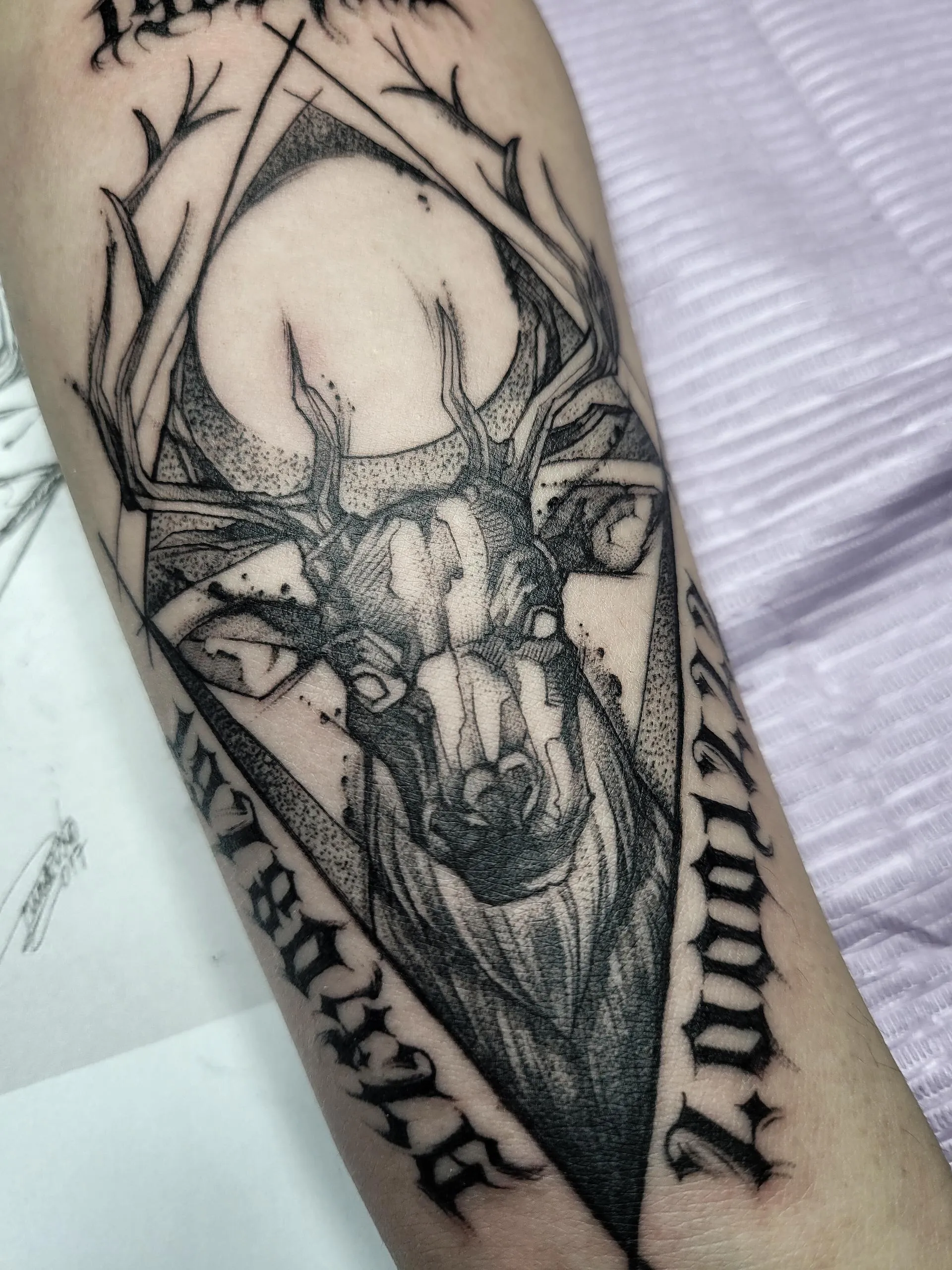 🦌사슴&도트