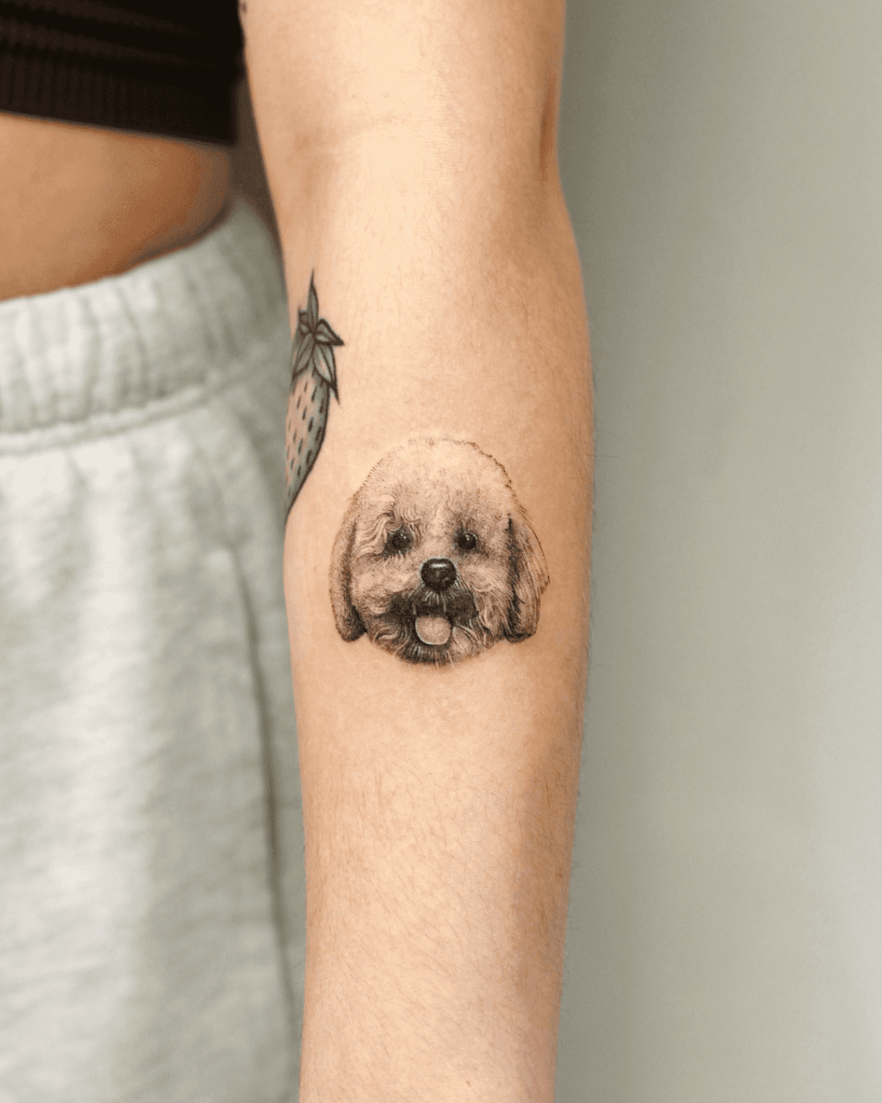 반려견타투🐶