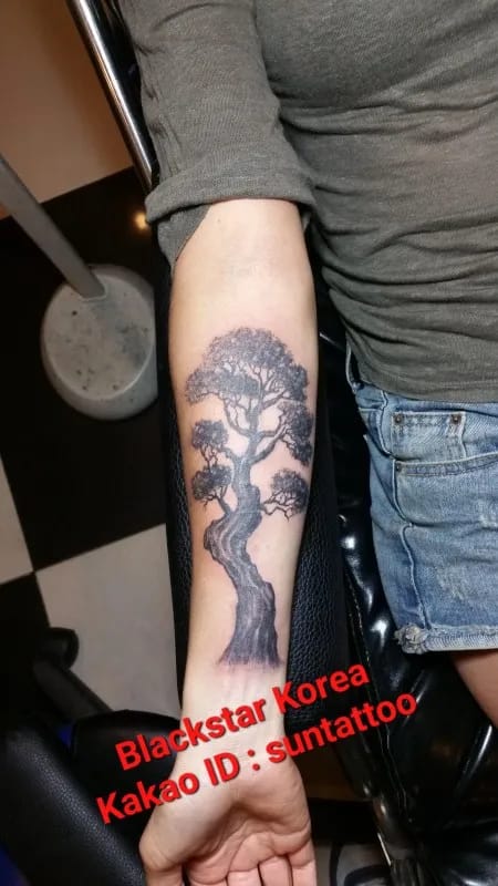 ํ ํ๋ฐ ๋๋ฌด ํํฌ