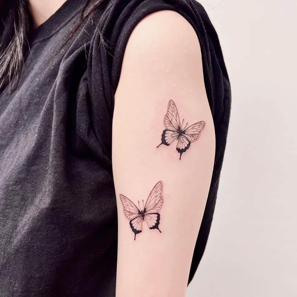 나비 두마리 🦋