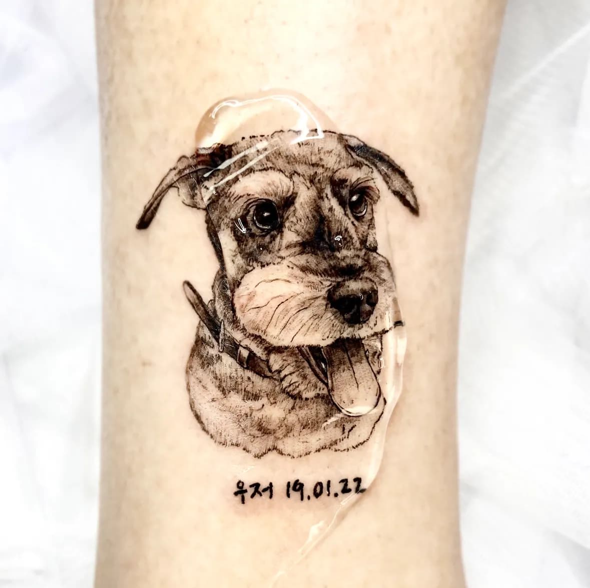 반려견타투 - 1