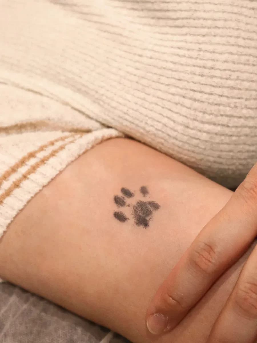 섬세한 발도장🤍 발바닥 반려묘 반려견, 젤리, 강아지 발바닥, 고양이 발바닥, 귀여운, 감성, 가족, 심플 미니 타투 추천🤍 - 1