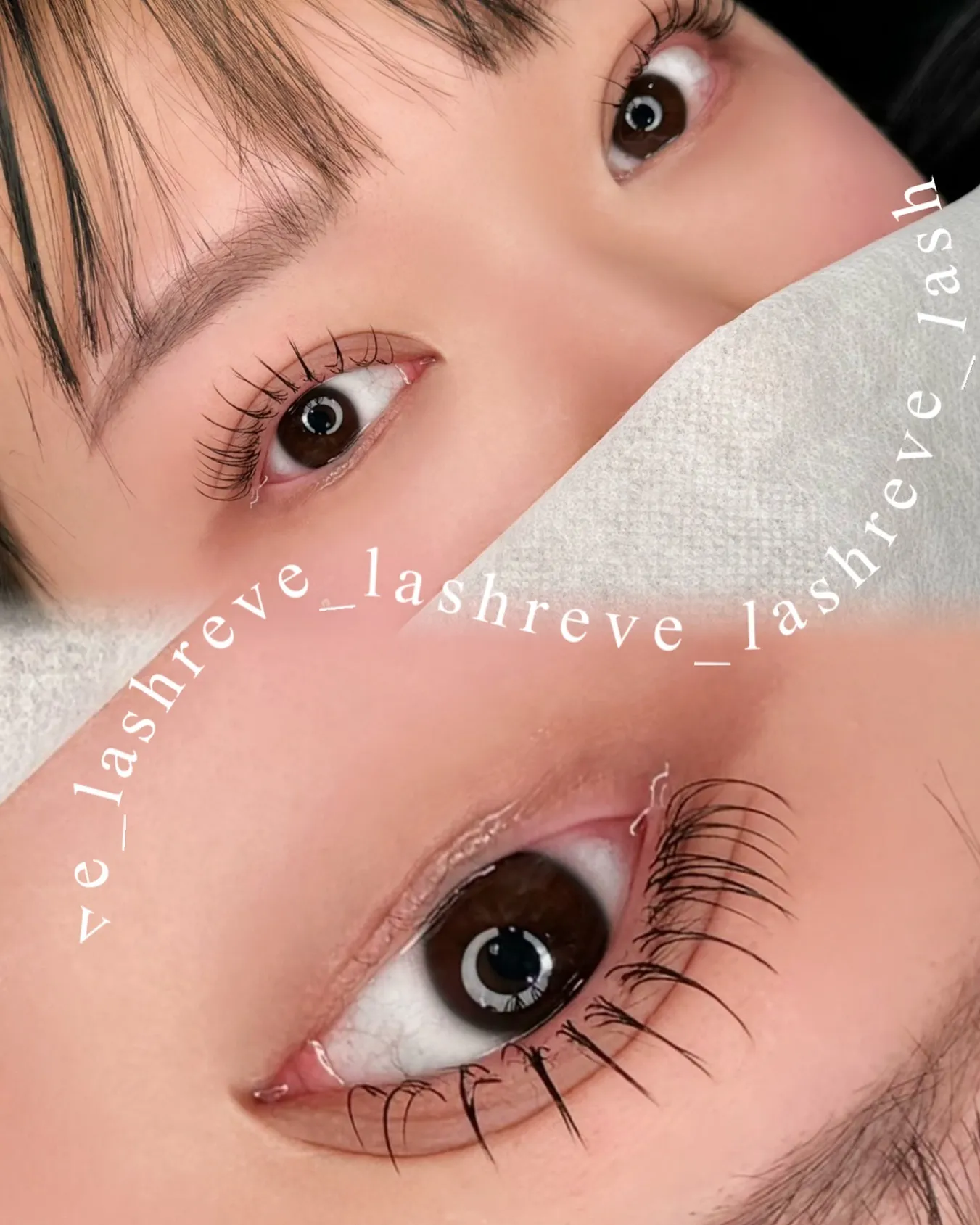 ๋ ๋ธ๋์ฌ ์์ฅ๋์ ์๊ทธ๋์ฒ ๋ง์ค์นด๋ผ ์ฐ์ฅ