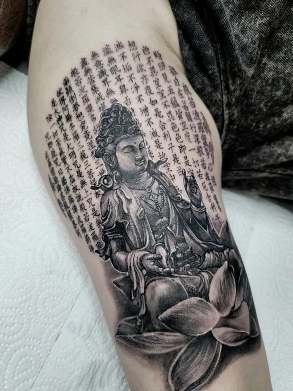 ๋ณดํ๋ณด์ด