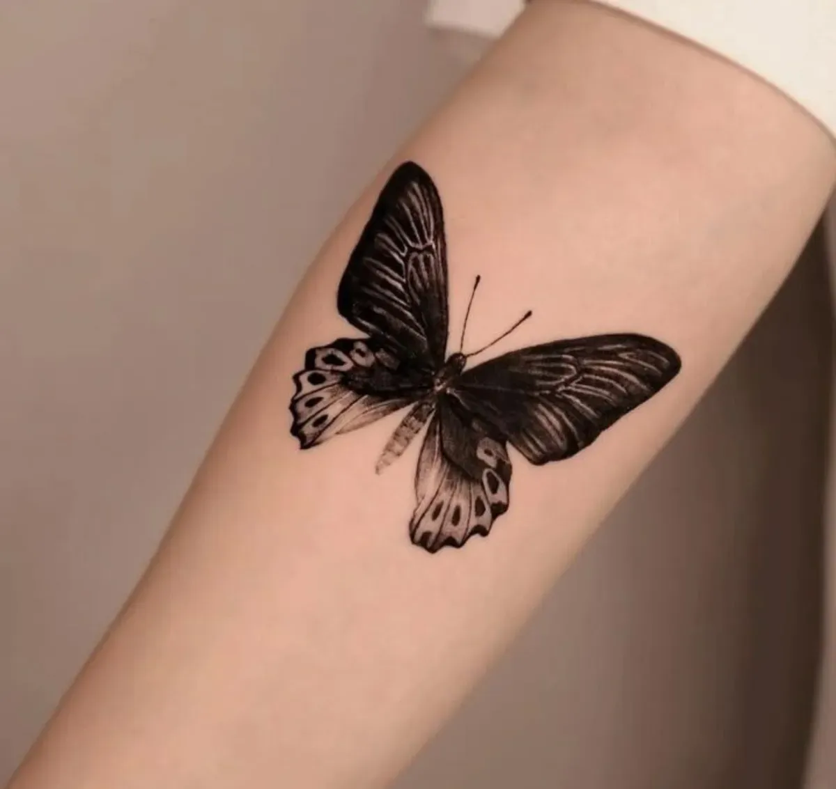 블랙앤그레이 나비 타투