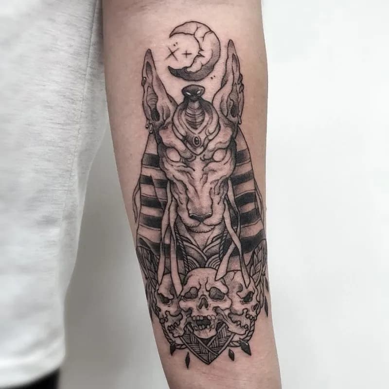 ์๋๋น์ค ๋ธ๋์ํฌ - 1