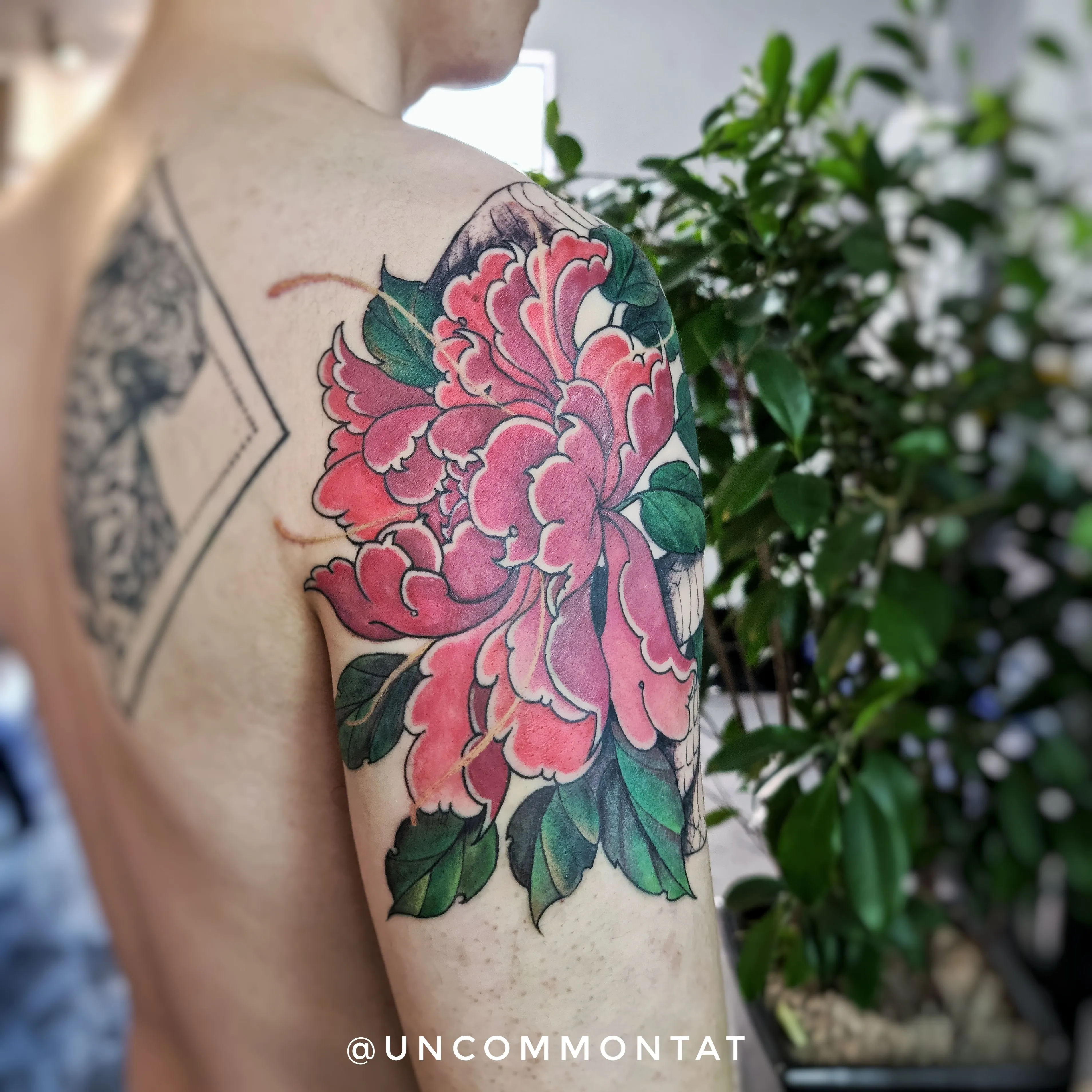 ᴜɴᴄᴏᴍᴍᴏɴ ᴛᴀᴛ