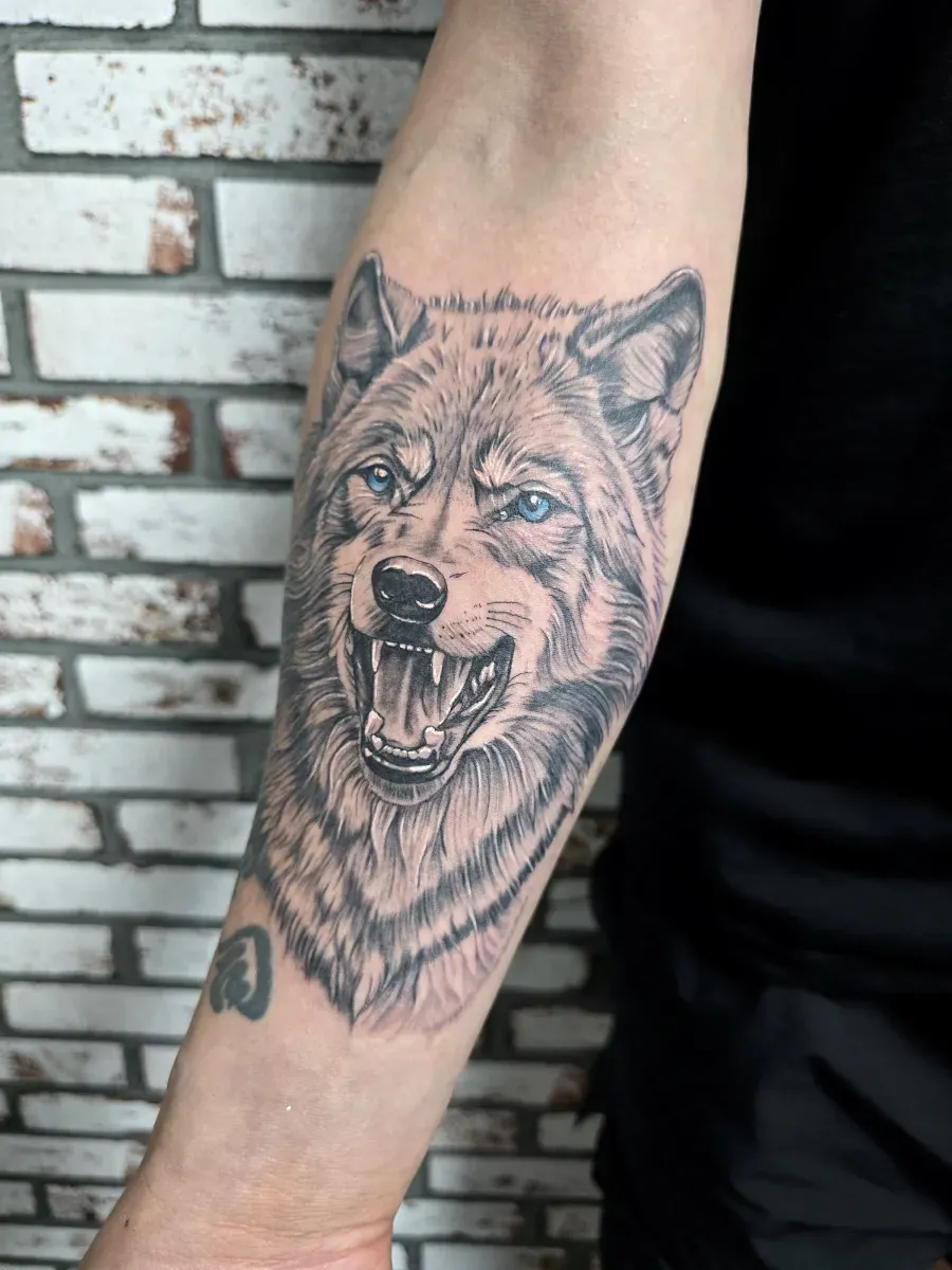 ๋ถ์ฒํํฌ ์ํํฌ ๋๋์
๋๋ค~^^