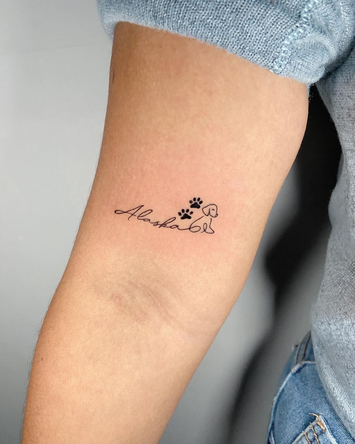 사랑스러운 아이를 담은 펫타투