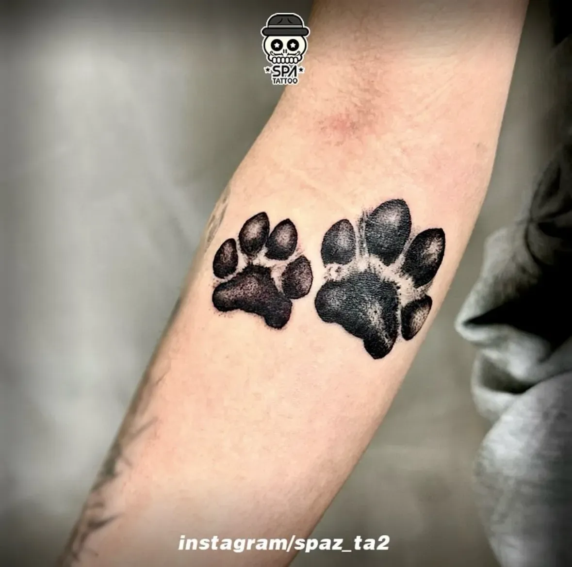 ๋ฐ๋ ค๊ฒฌ ๋ฐ๋์ฅ ํํฌ - 1