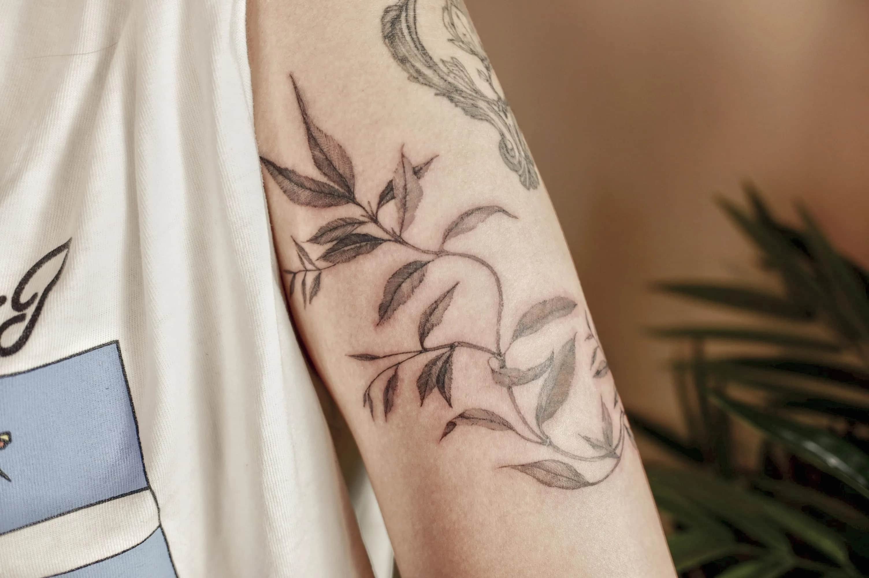 식물 덩쿨 tattooist_petal