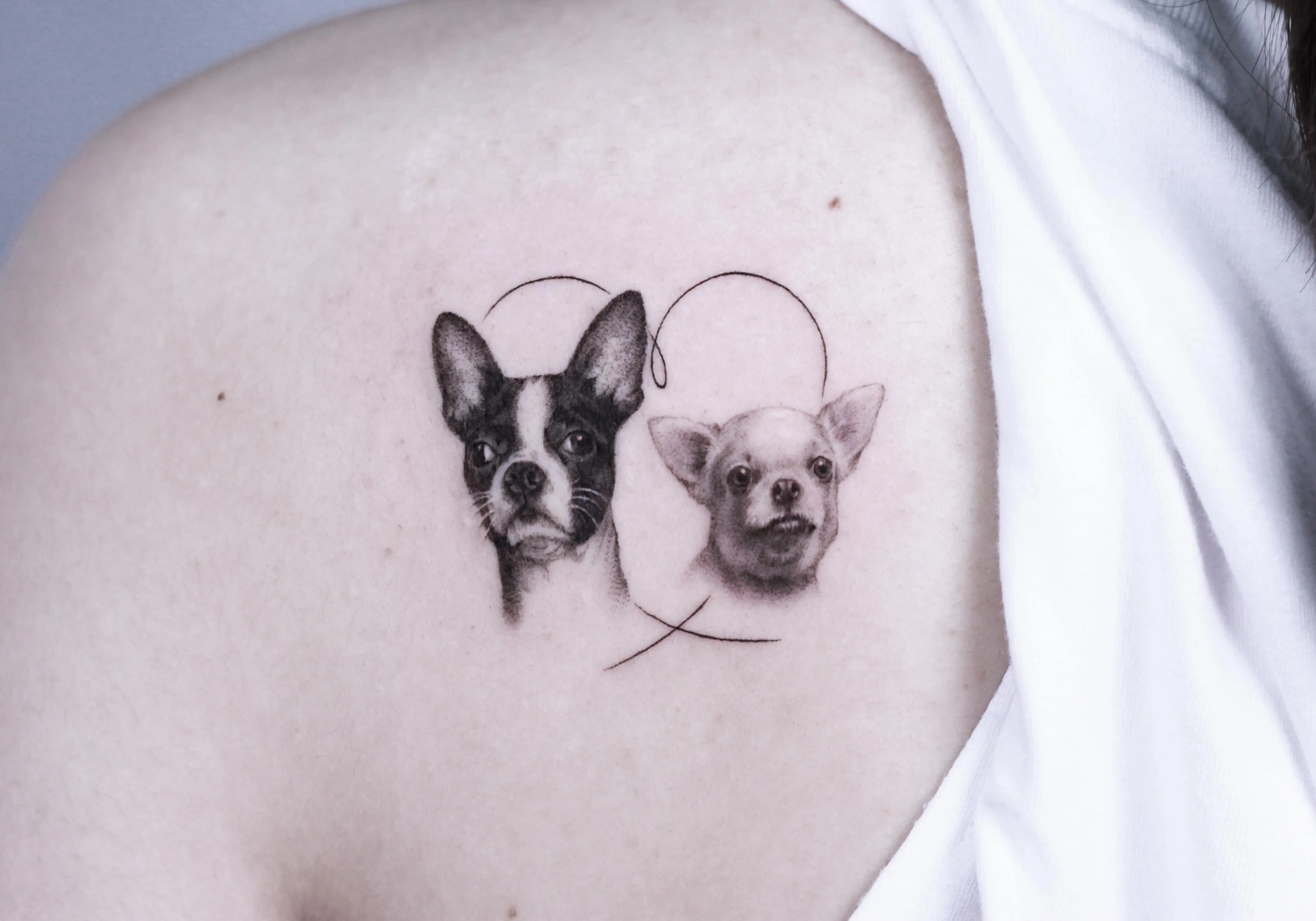 날개뼈 반려견타투