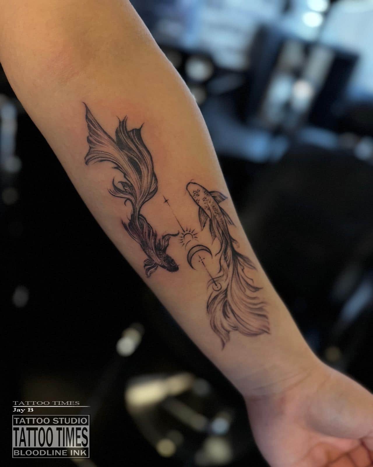 잉어 - 타투타임스