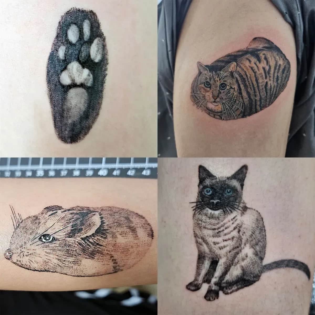 반려동물타투 햄스터타투 블랙앤그레이타투 인천타투 부천타투 부평타투 김포타투 최상의 작품을 만들어드립니다