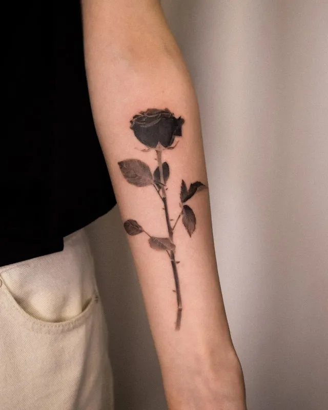 ๋ธ๋์ฅ๋ฏธ