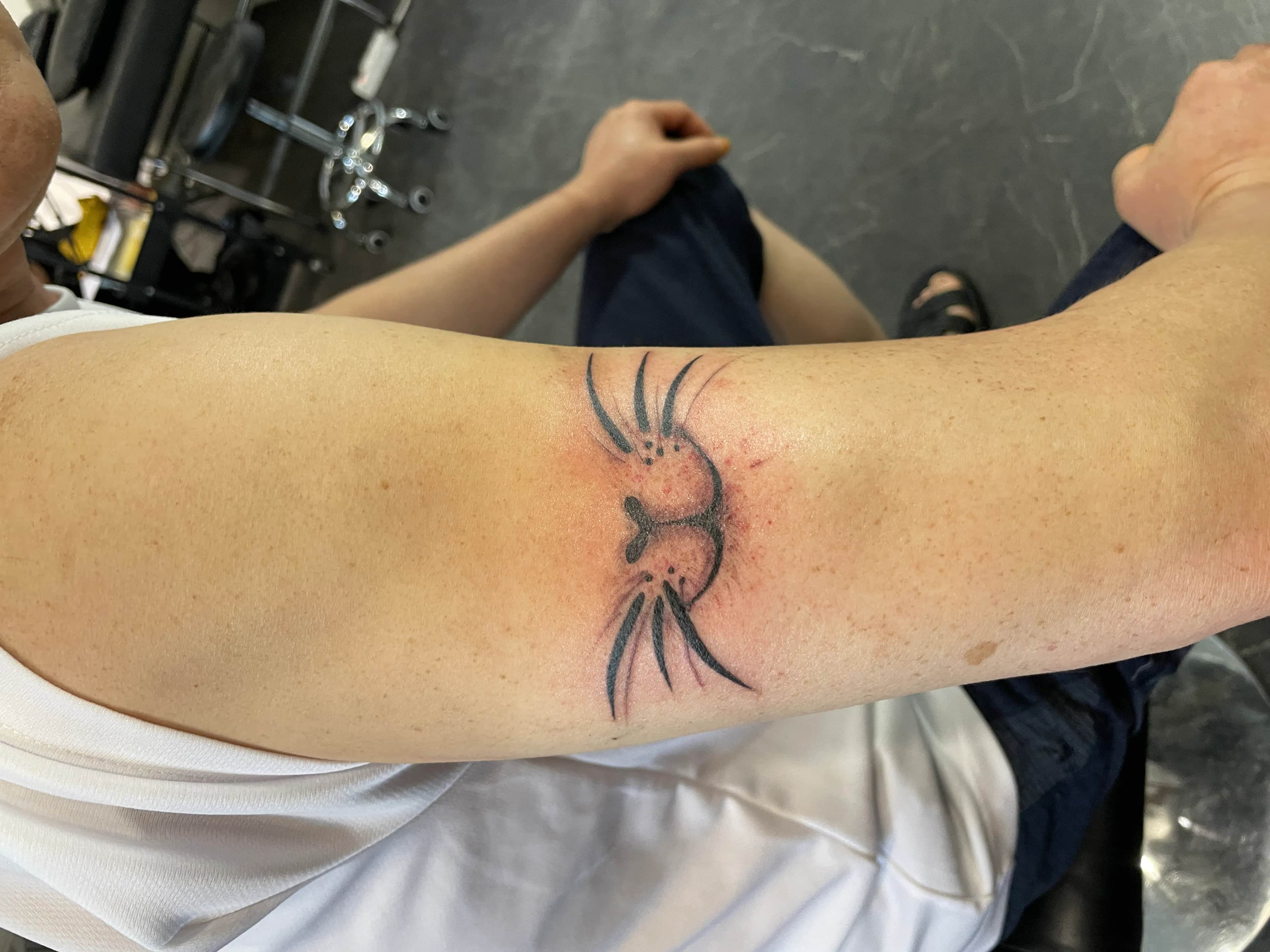 고양이 타투 귀여운 포인트로 팔에 새긴 후기(ft. 도봉, 장암, 상계 타투 유명한 곳)