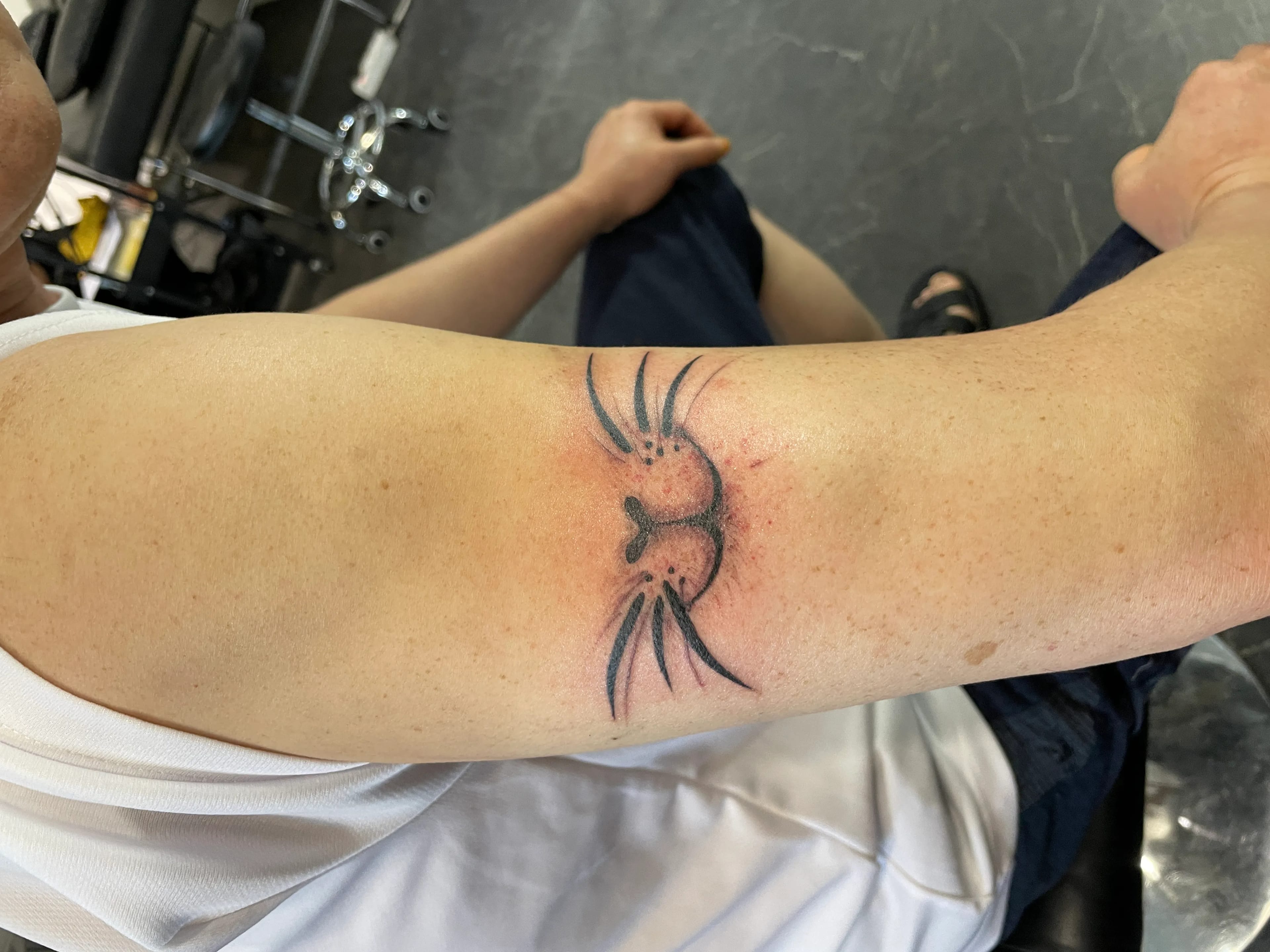 고양이 타투 귀여운 포인트로 팔에 새긴 후기(ft. 도봉, 장암, 상계 타투 유명한 곳)