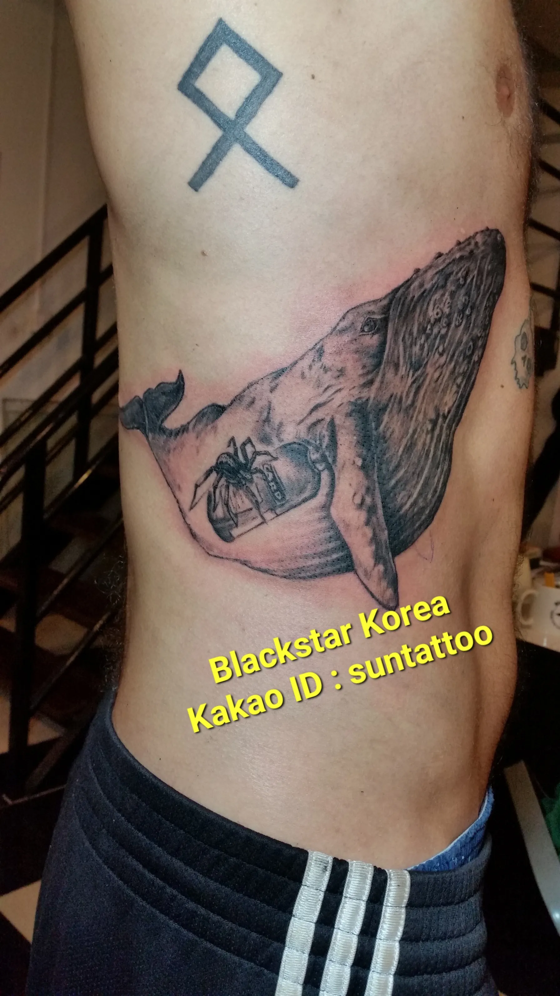 ์๊ตฌ๋ฆฌ ๊ณ ๋ ํํฌ - 1