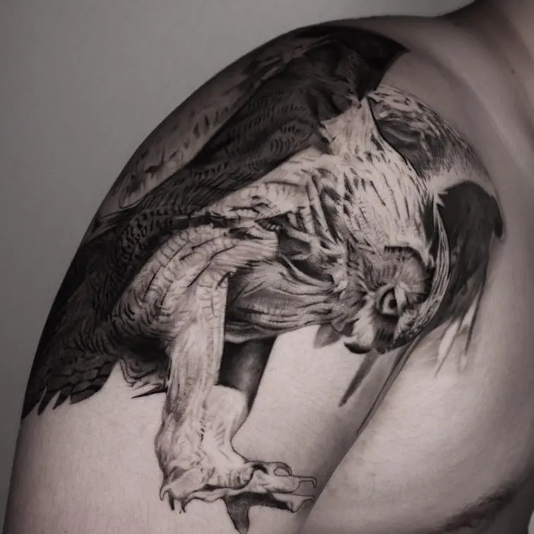 ⚡️올빼미⚡️ - 1