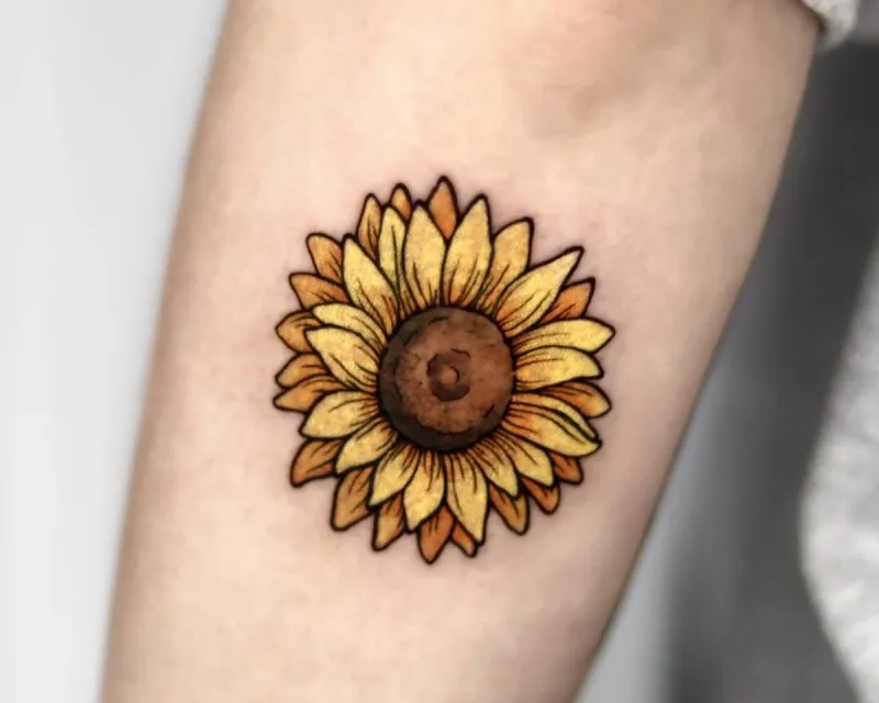 ํด๋ฐ๋ผ๊ธฐํํฌ ๊ฝํํฌ - 1