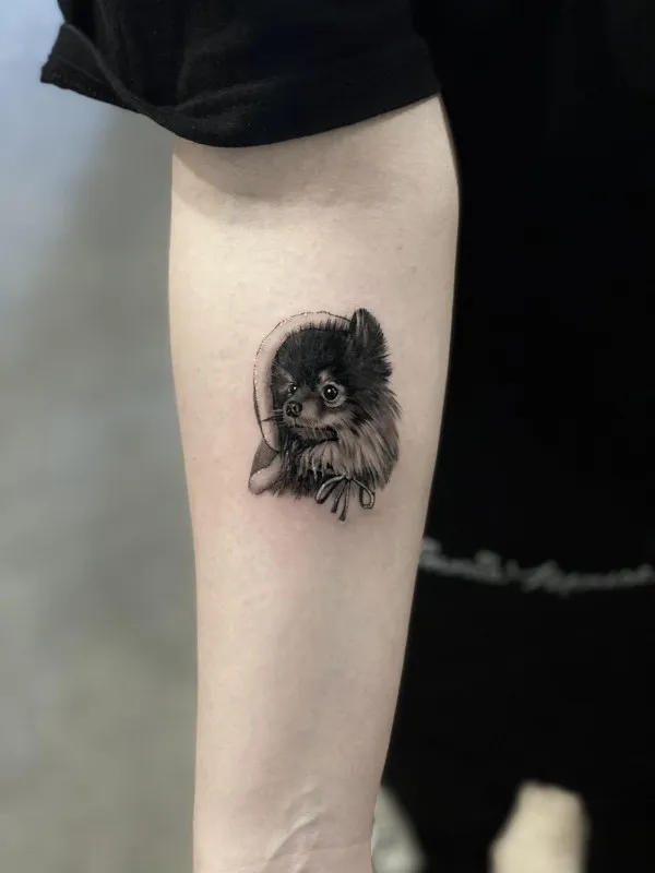 모자쓴 반려견의 모습을타투로 작업 일기!