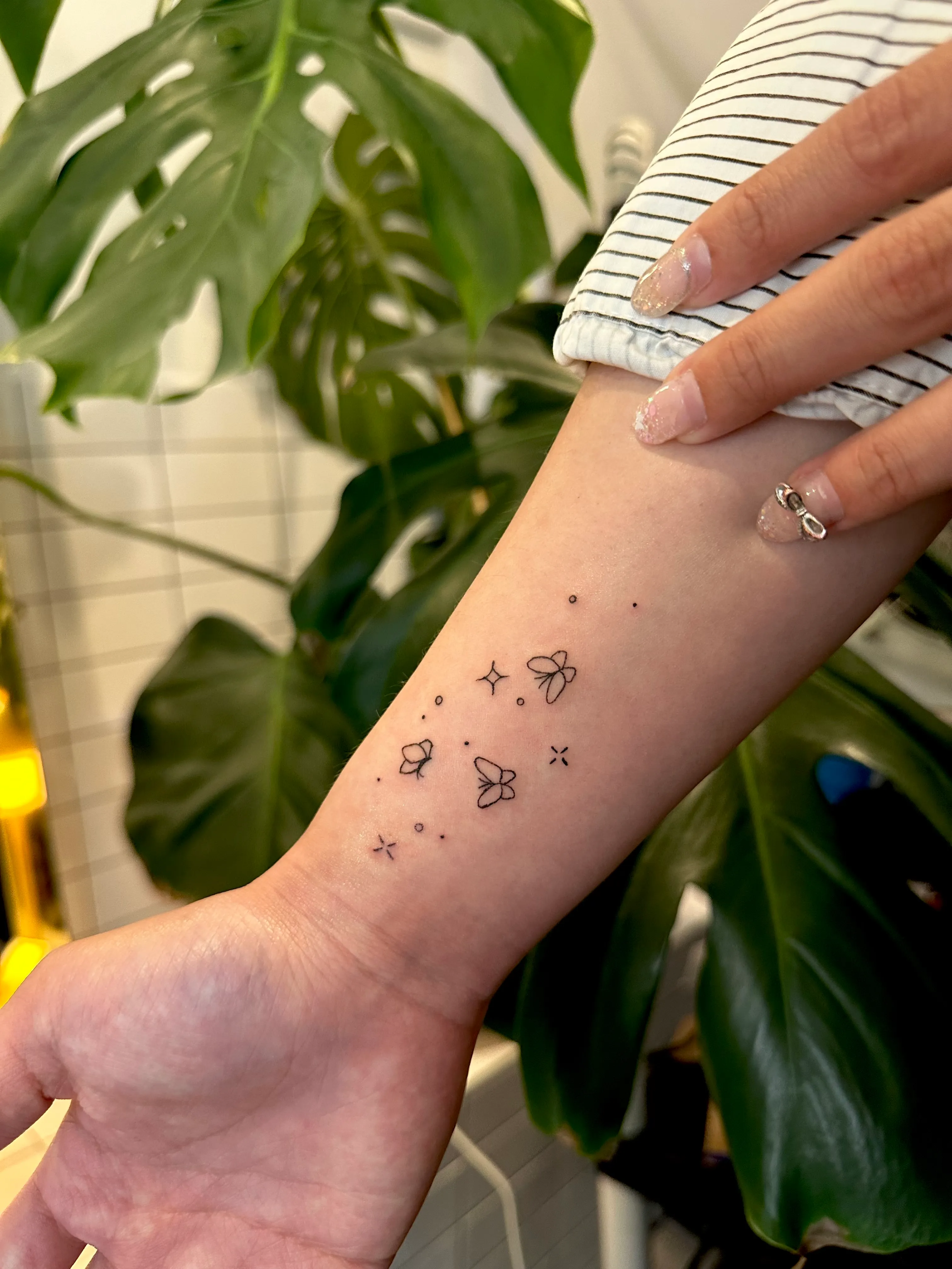 ๋ฏธ๋ ๋๋นํํฌ