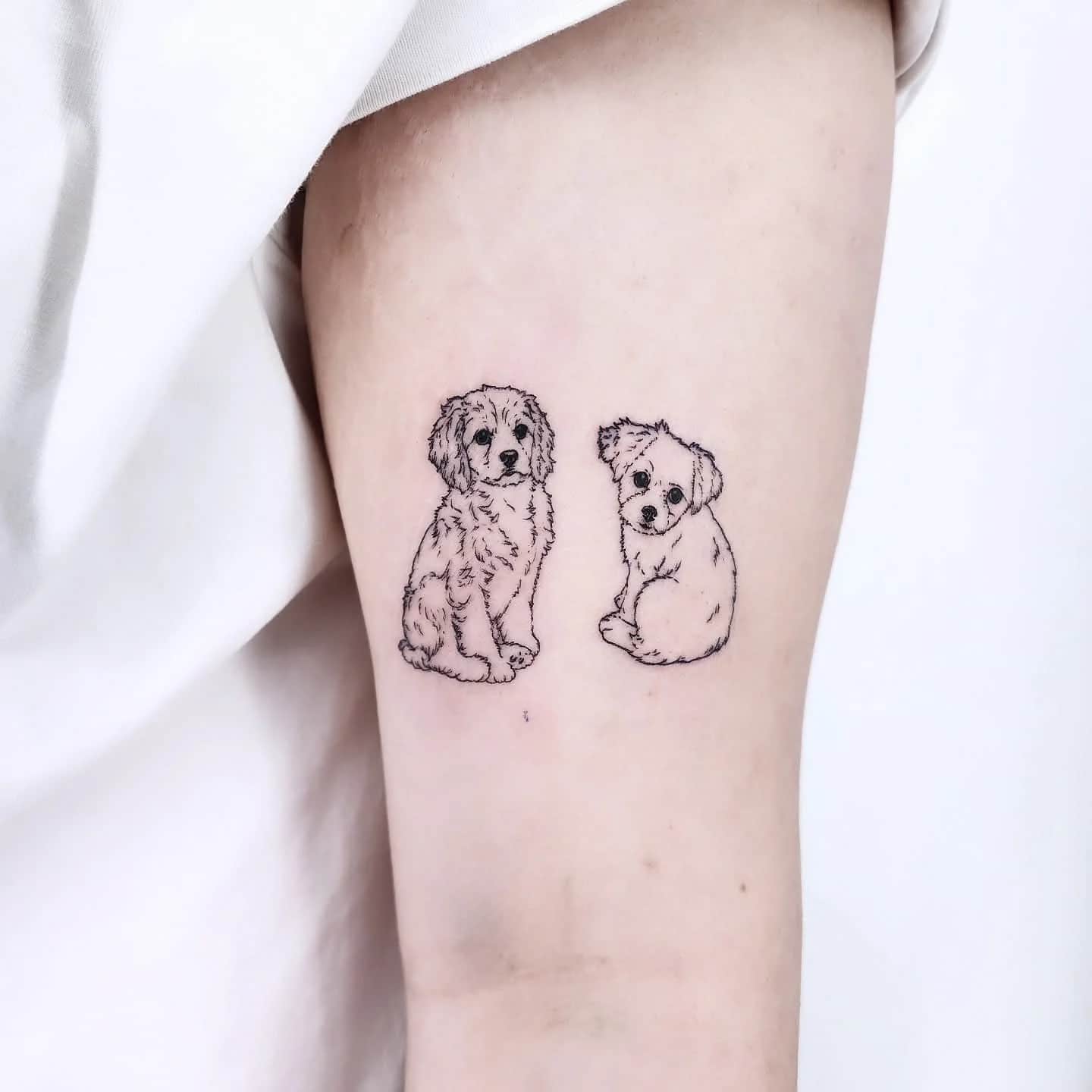 강아지타투