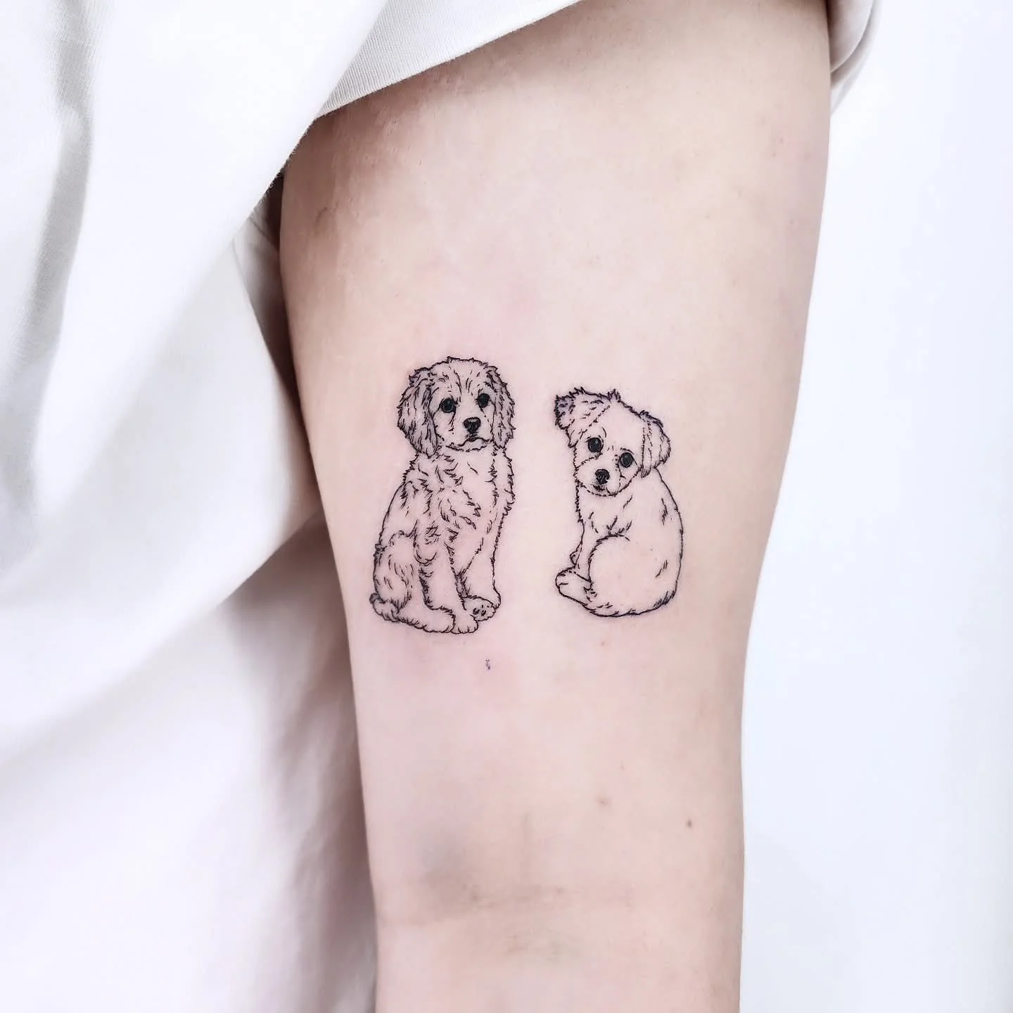 강아지타투