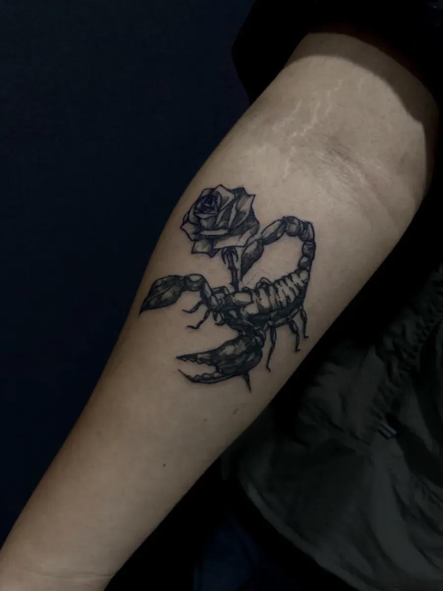 ์ ๊ฐ.์ฅ๋ฏธ