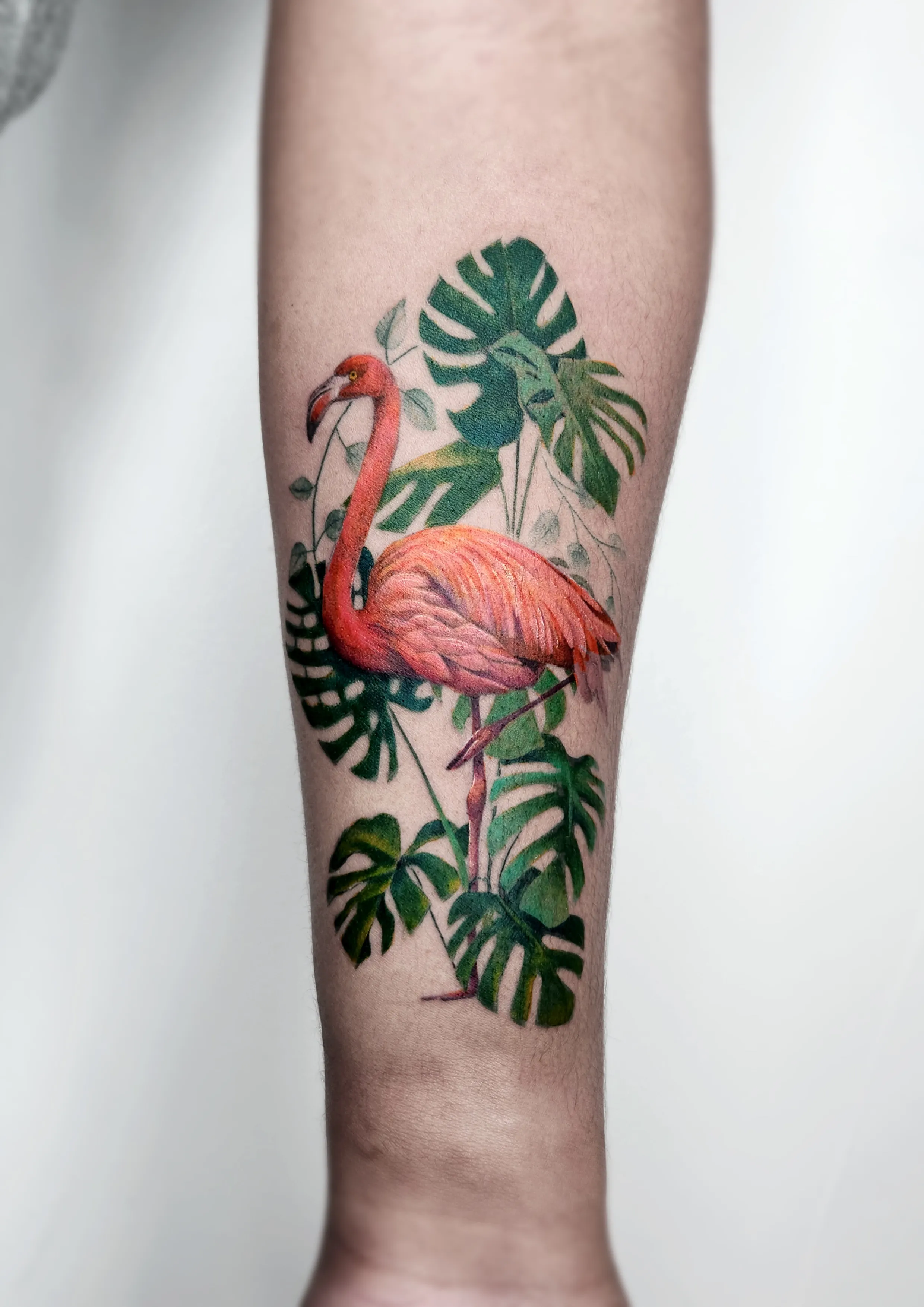 플라밍고 풀컬러 타투