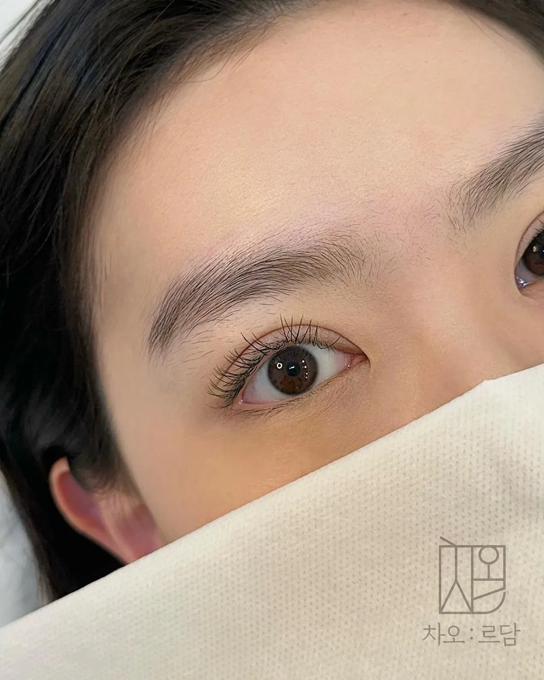 차오르담 여자눈썹