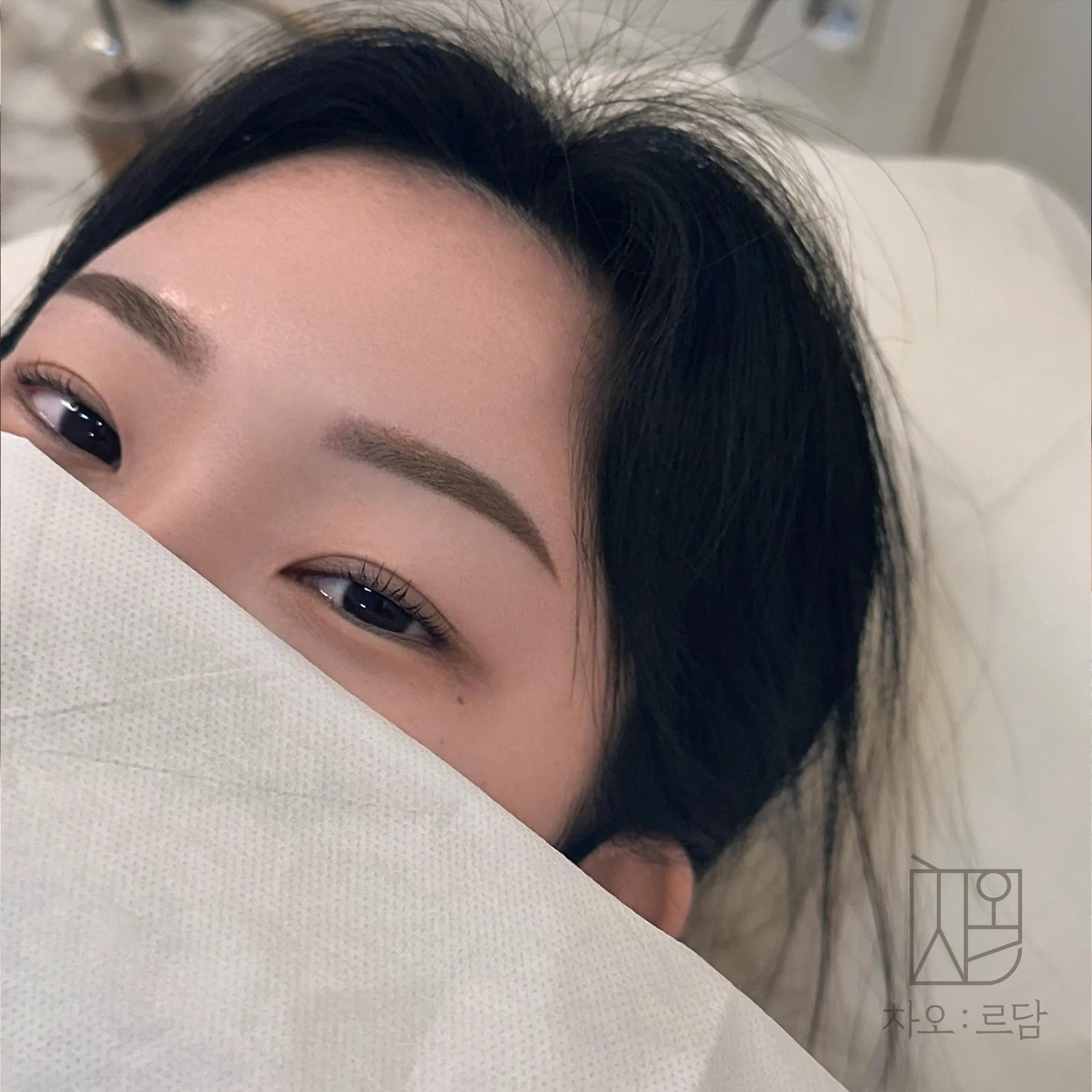 차오르담 섀도우눈썹