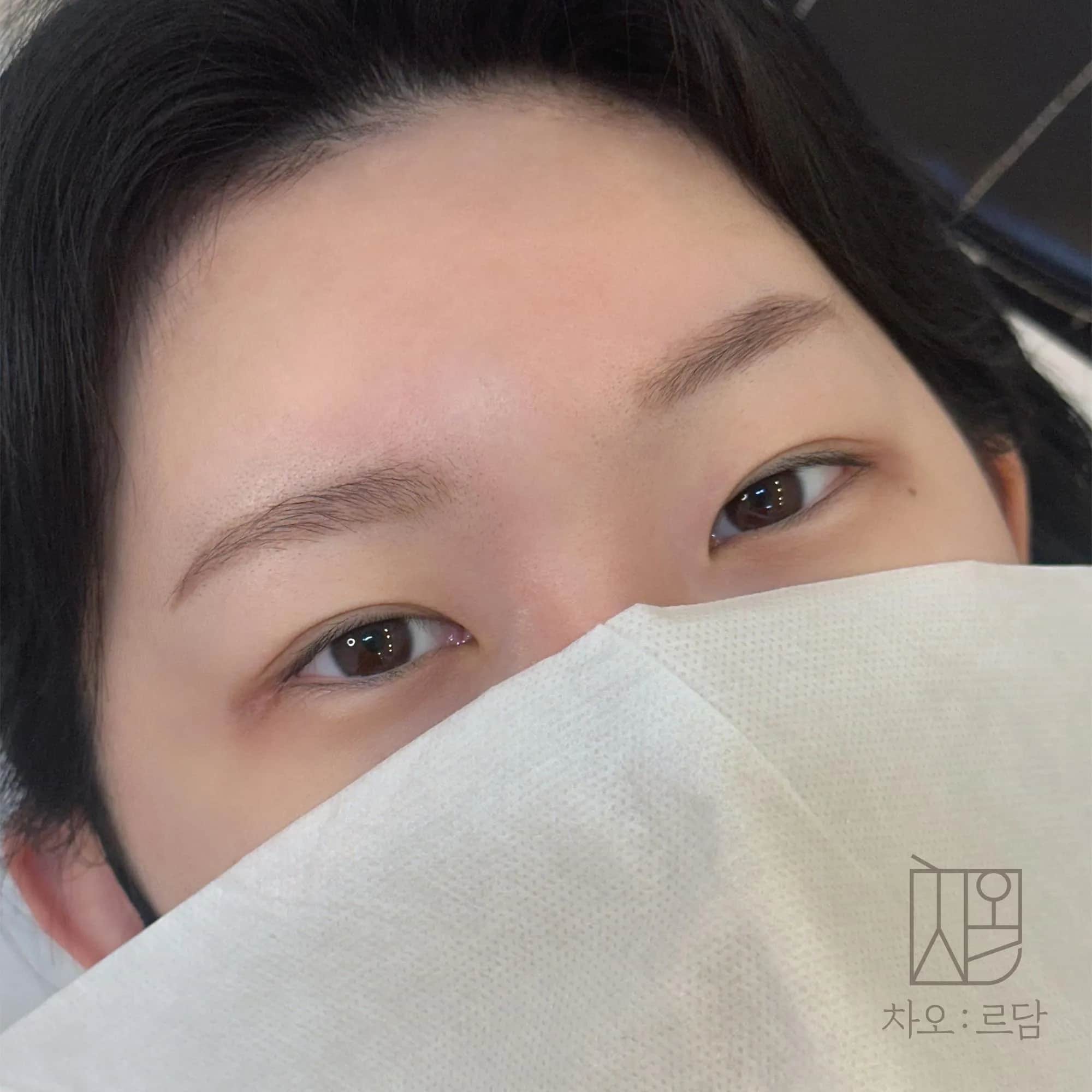 차오르담 섀도우눈썹