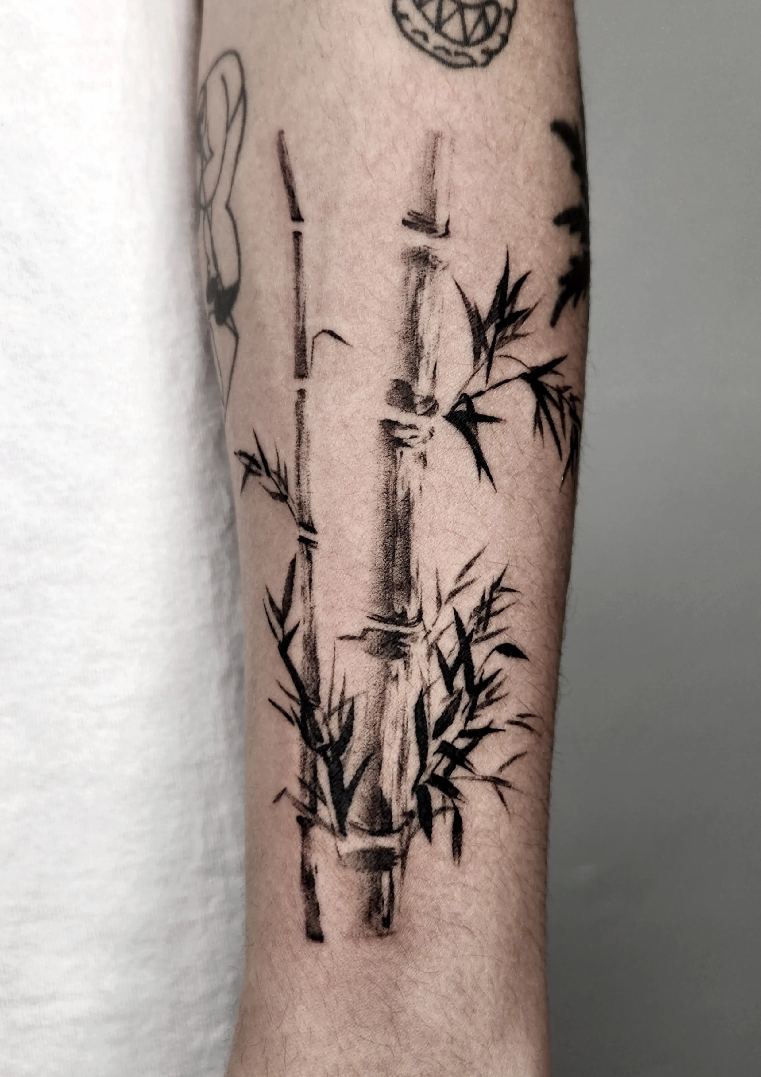 ๋์ํ ๋๋๋ฌด ํํฌ